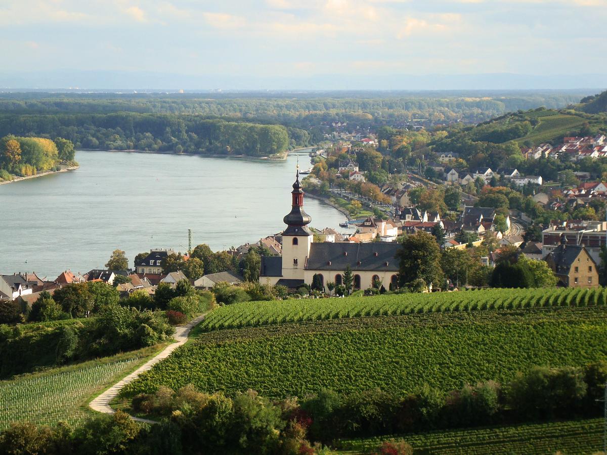 Best Western Wein- Und Parkhotel Nierstein Extérieur photo